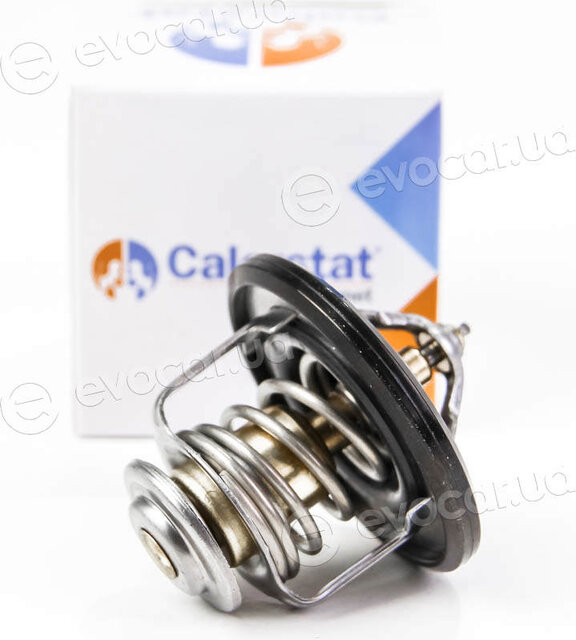 Vernet / Calorstat TH6587.82J