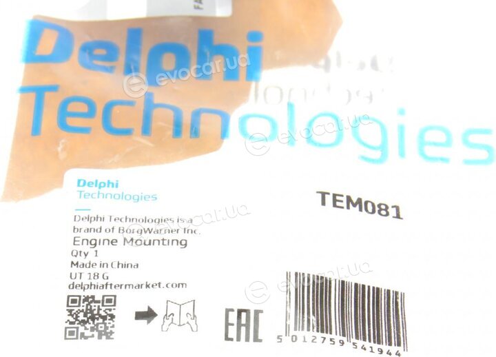 Delphi TEM081