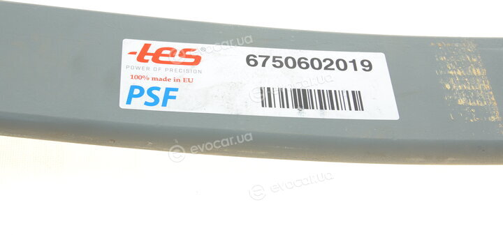 TES 6750602019