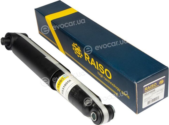 Raiso RS310058
