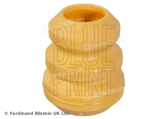 Blue Print ADBP800359