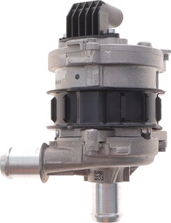 Hepu P698