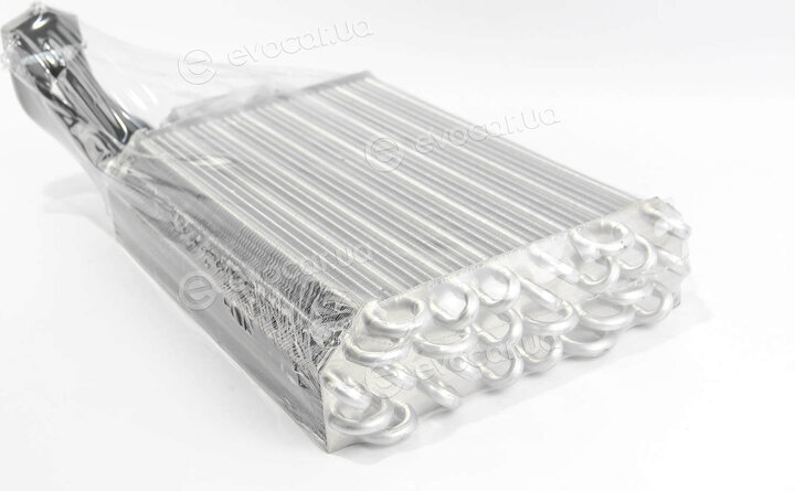 Mahle AE 31 000S