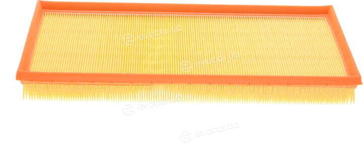 Mann C 38 116