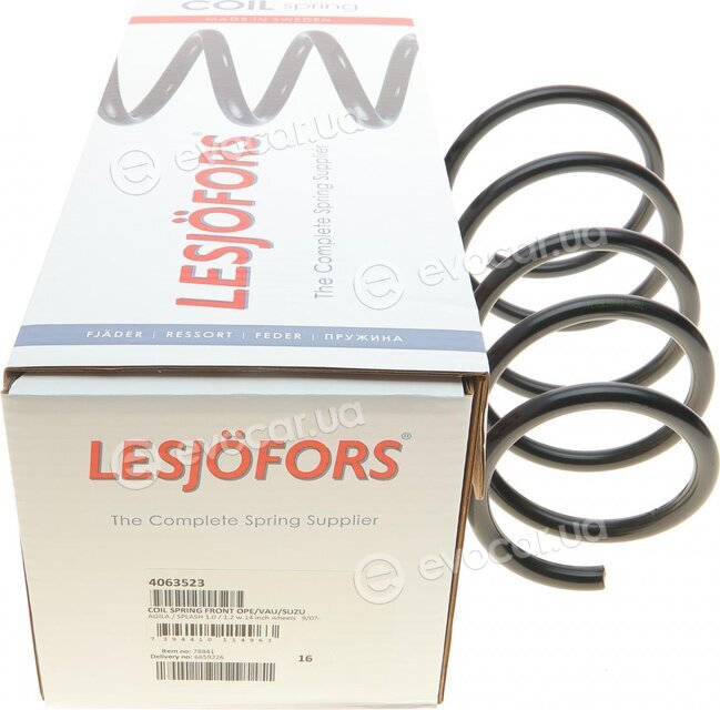 Lesjofors 4063523