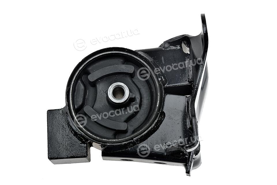 NTY ZPS-NS-067