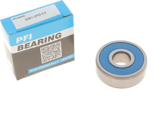 PFI 6301-2RS C3