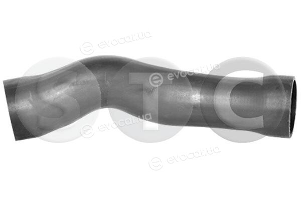 Metalcaucho / STC T498748