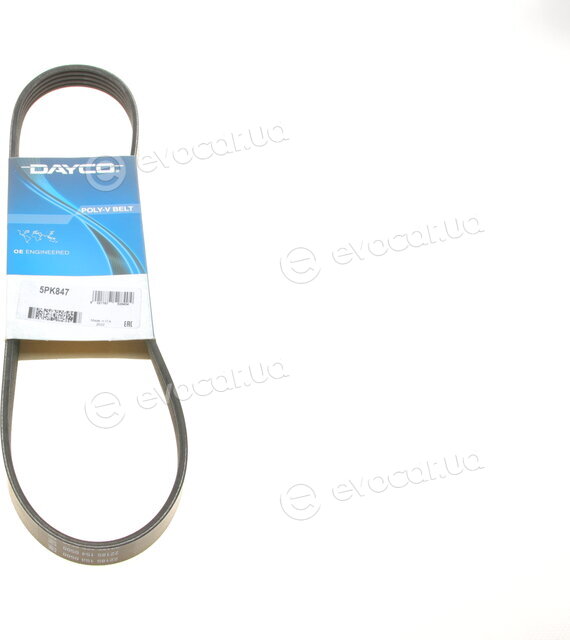 Dayco 5PK847