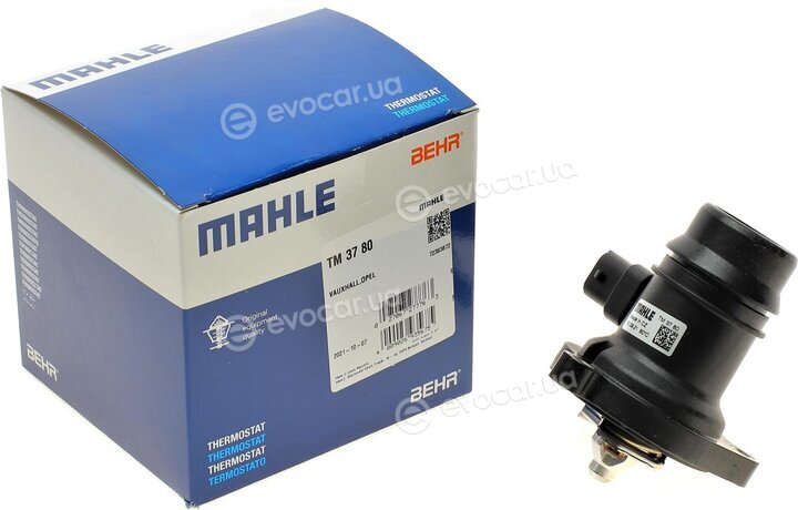 Mahle TM 37 80