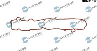 Dr. Motor DRM01317