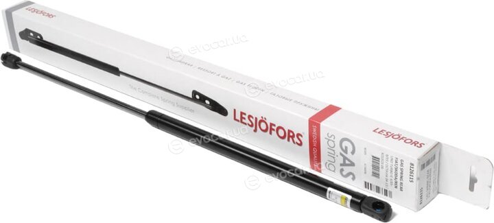 Lesjofors 8185707