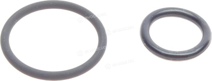 Elring 715.810