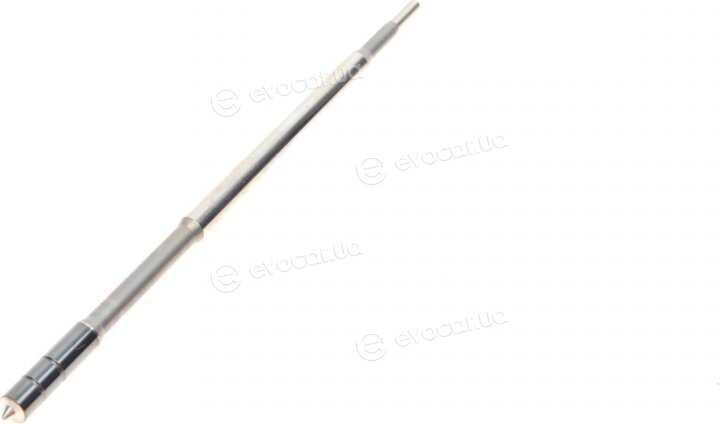Bosch F 00V C01 324