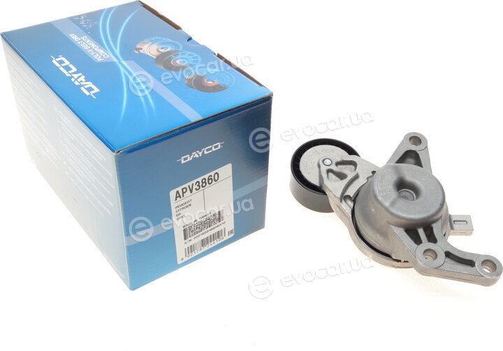 Dayco APV3860