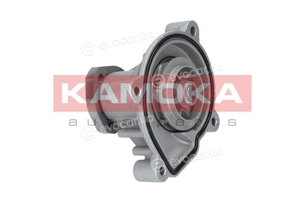 Kamoka T0272