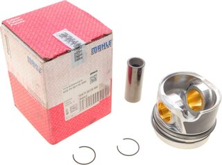 Mahle 028 PI 00116 000