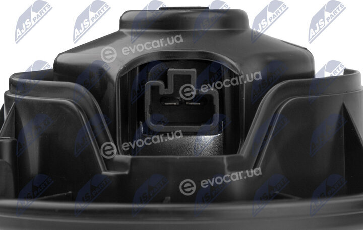 NTY EWN-PL-004