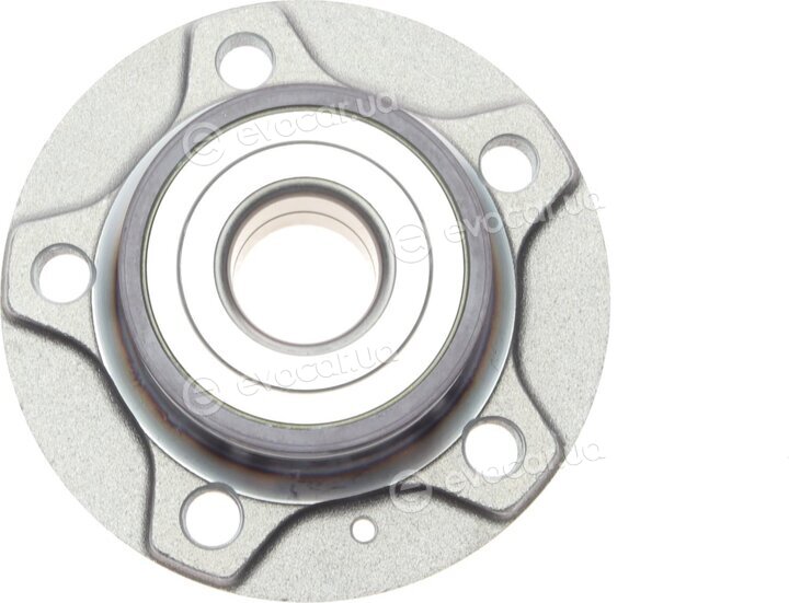 Borsehung B11286