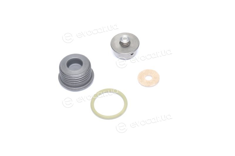 Bosch F 00N 202 418
