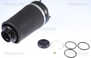 Triscan 8720 23101