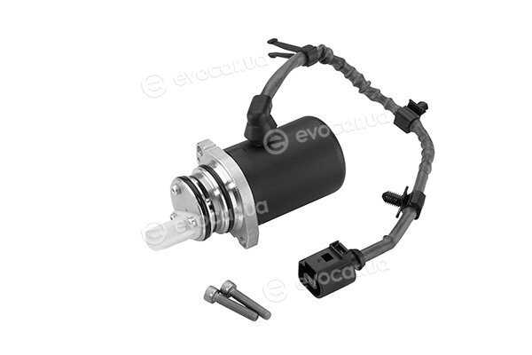 BorgWarner DS118613
