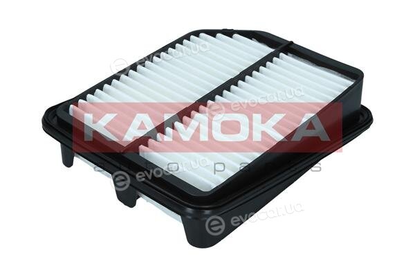 Kamoka F249901