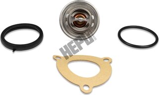 Hepu TM1307