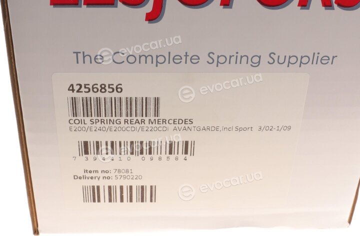 Lesjofors 4256856