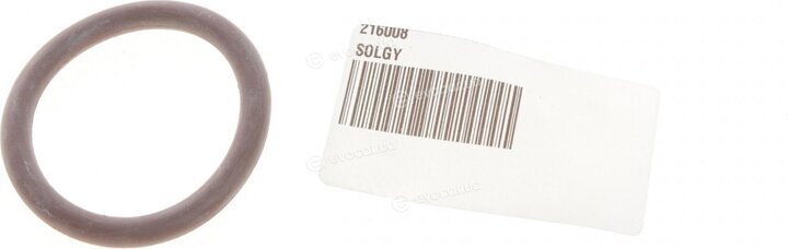 Solgy 216008