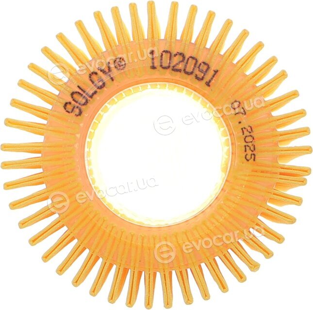 Solgy 102091