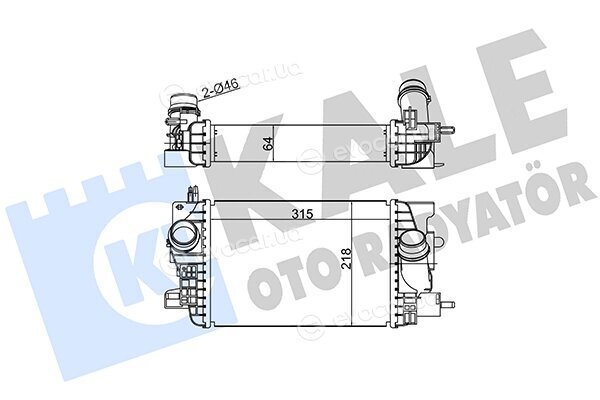 Kale 345055