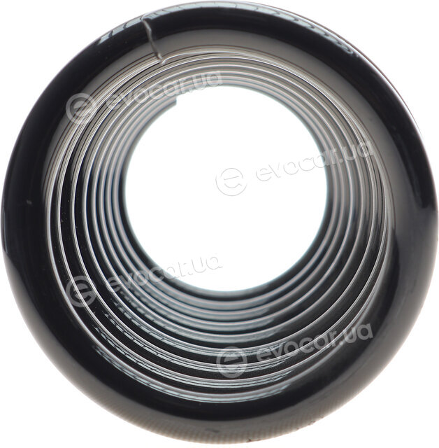 Solgy 212031