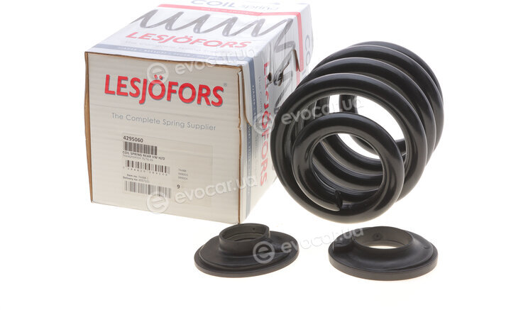 Lesjofors 4295060