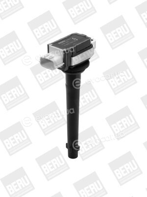 Beru ZSE161