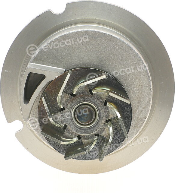Continental CT975WP2