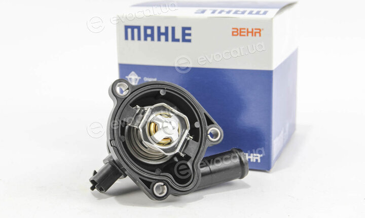 Mahle TM 36 103