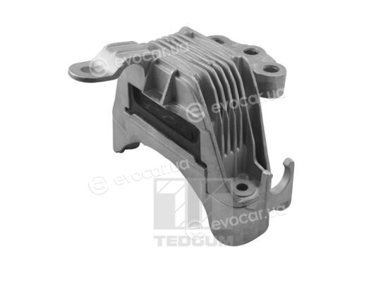 Tedgum TED86251