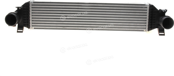NRF 309068
