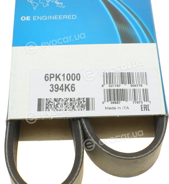 Dayco 6PK1000