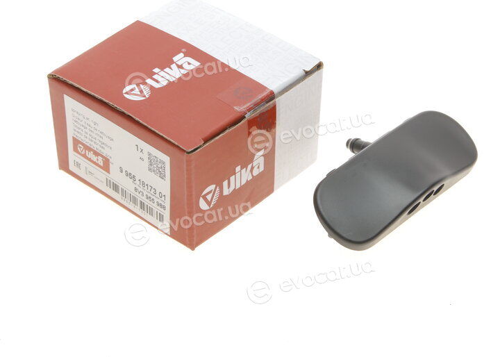 Vika 99551817301