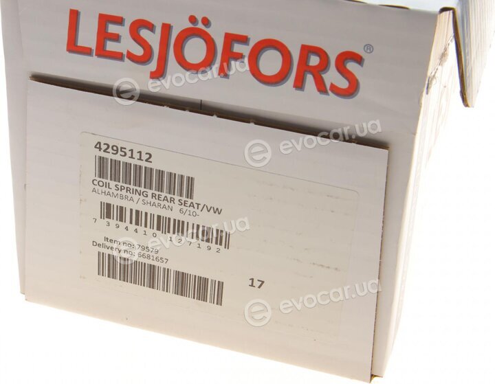 Lesjofors 4295112