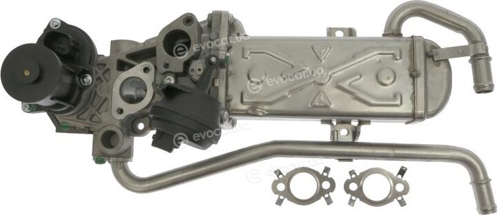 Starline ED STEG114-N