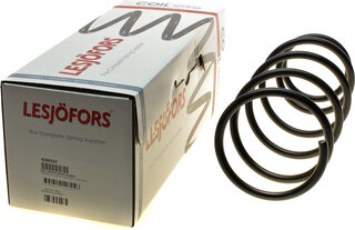 Lesjofors 4288337