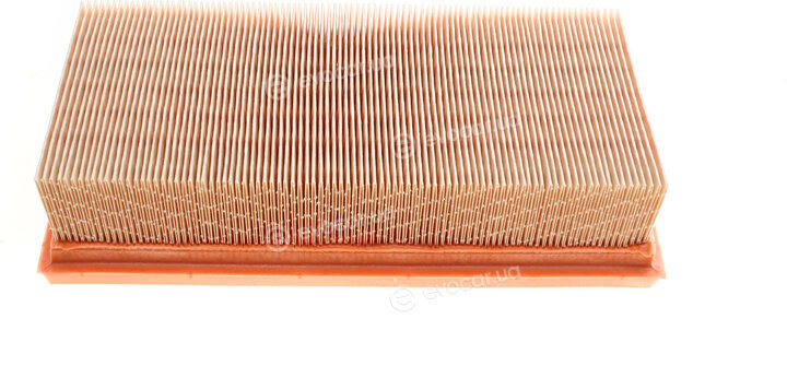 Mann C 2584
