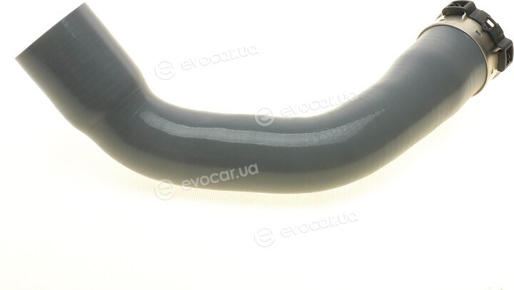 Solgy 114197