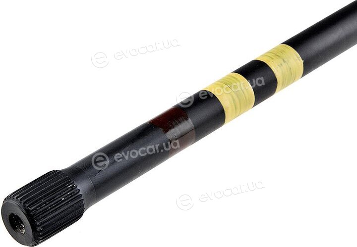 NTY ZWT-CT-008