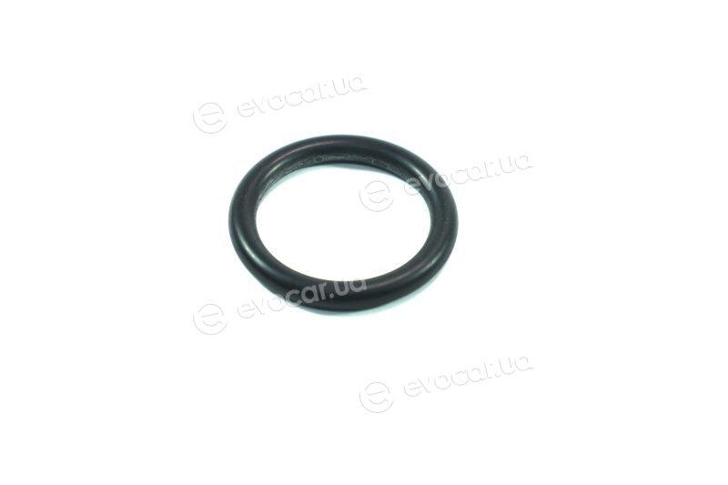 Elring 351.550