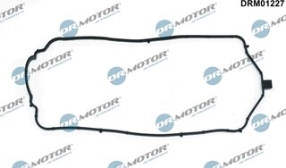 Dr. Motor DRM01227