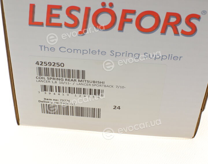Lesjofors 4259250